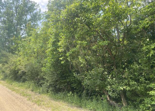 Property at V/L N 55th Street-a, Grand Junction, MI 49056