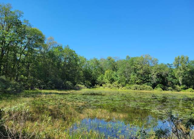 Property at Lots 1-9 Cranberry St, Wellston, MI 49689