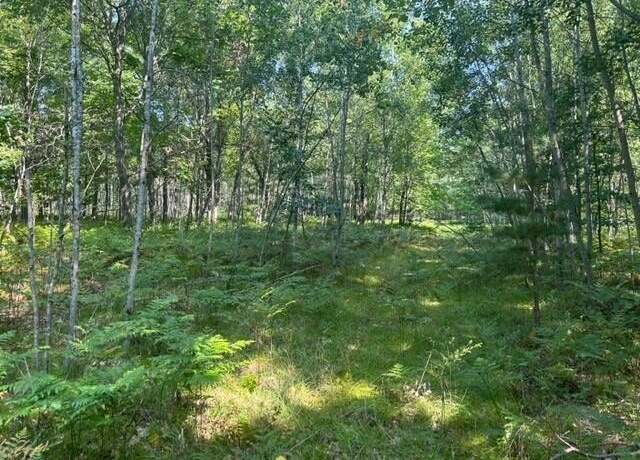 Property at NN W Erdman Rd, Lake City, MI 49651