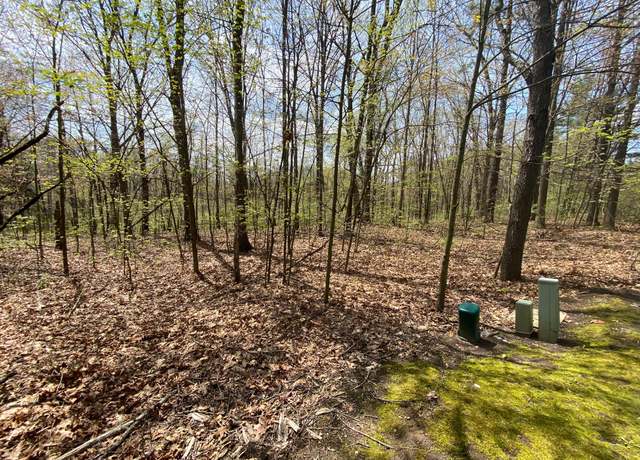 Property at 12998 Bowen Lake Dr, Gowen, MI 49326