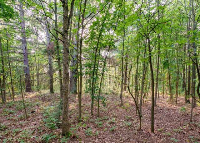 Property at 0 158th Ave, West Olive, MI 49460