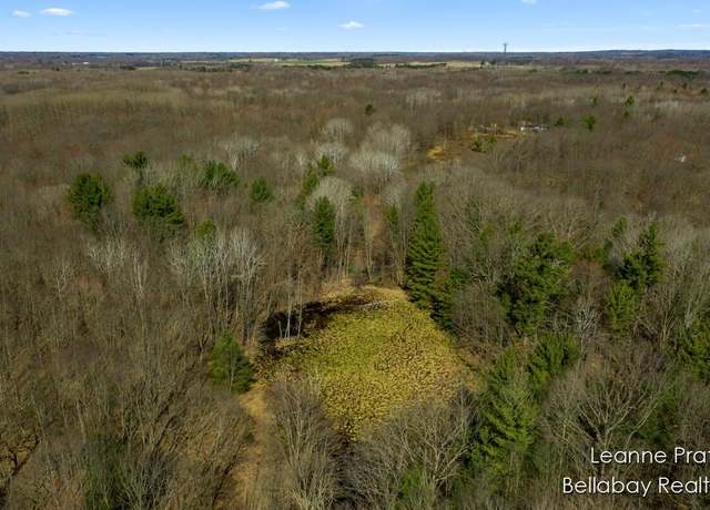 Property at VL W Weidman Rd, Weidman, MI 48893
