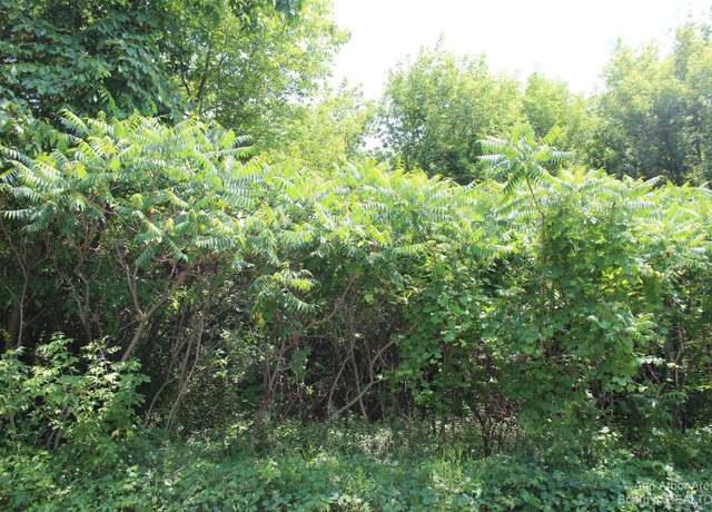 Property at 0 Vineyard Hills Ct, Grass Lake, MI 49240
