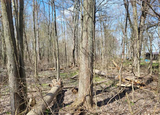 Property at V/L Burton Dr, Allegan, MI 49010