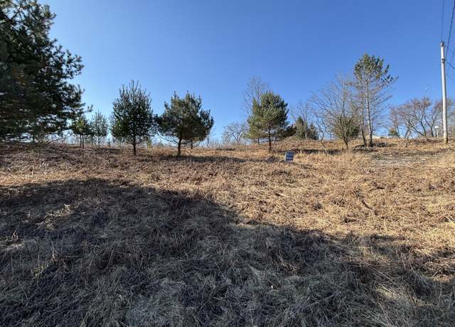 Property at VL Lot 122 Chippewa Trl, Evart, MI 49631