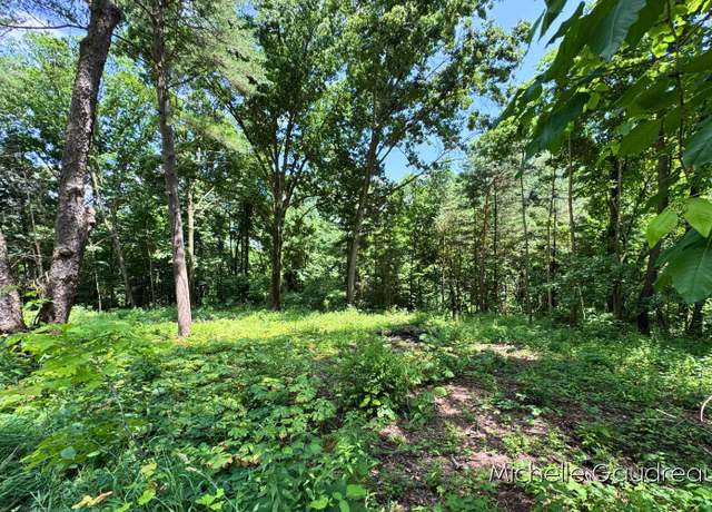 Property at VL W Irving Rd, Hastings, MI 49058