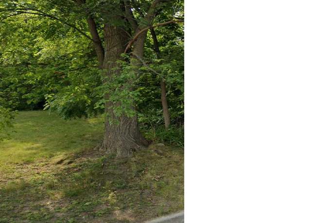 Property at 165 N Roselawn St, Pontiac, MI 48342