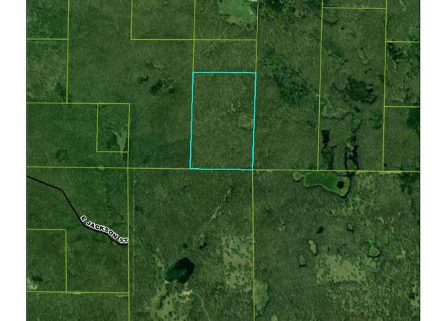 Property at VL N Beech Ave, White Cloud, MI 49349
