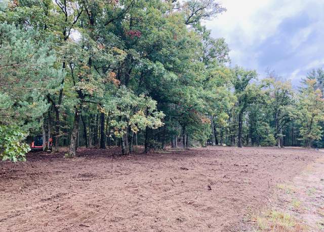 Property at V-Land S Eagle Ln, Newaygo, MI 49337