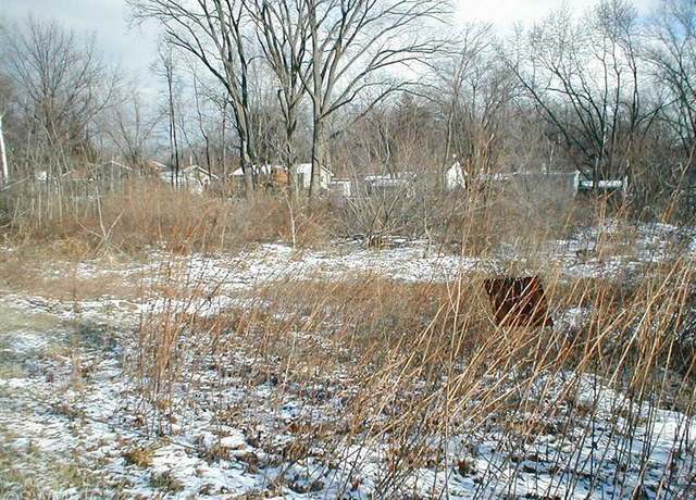 Property at 0 Red Arrow Hwy, Stevensville, MI 49127