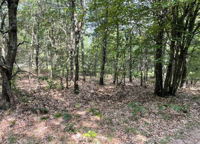 Property at Ewing Rd, Holton, MI 49425