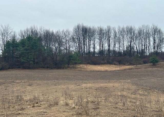Property at 11876 10th Ave, Remus, MI 49340