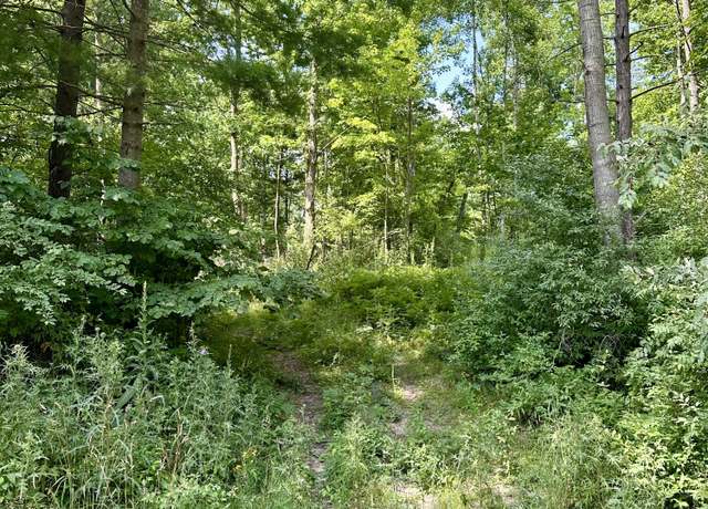 Property at V/L E Decker Rd, Branch, MI 49402