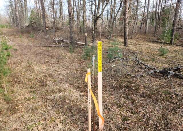 Property at VL 56th St, Baldwin, MI 49304