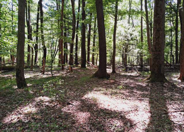 Property at E Brandywine Dr Unit 17 Acres, Gobles, MI 49055