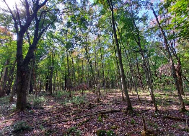 Property at E Brandywine Dr Unit VL 15 Acres, Gobles, MI 49055