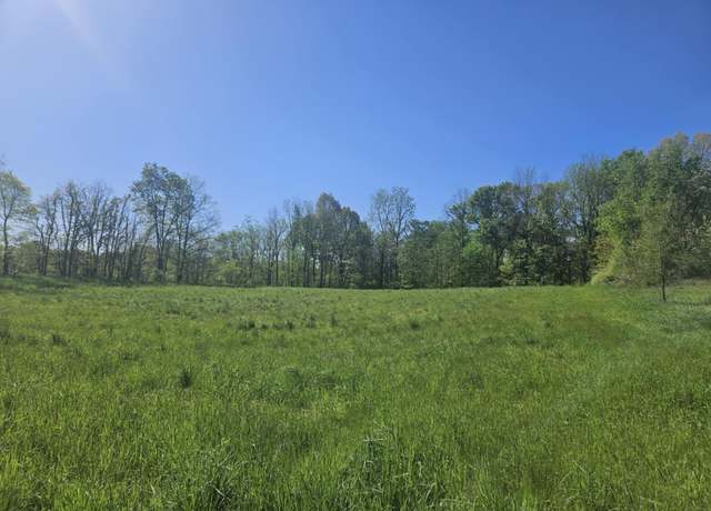 Property at Jones Rd, Bellevue, MI 49021