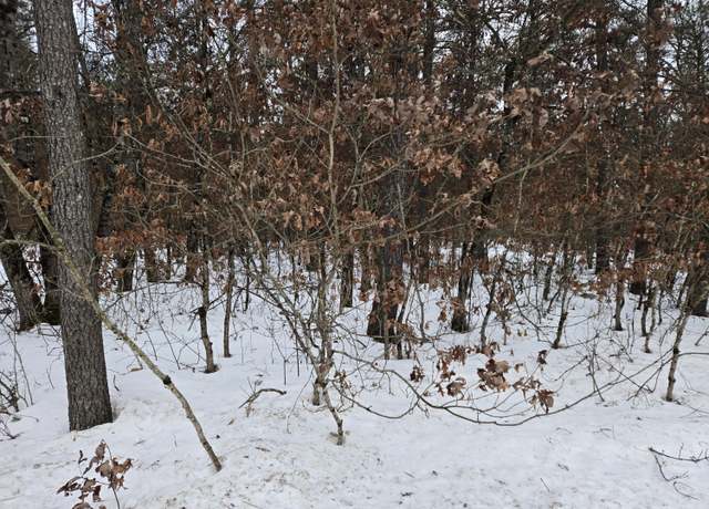 Property at V/L Unity, Idlewild, MI 49642