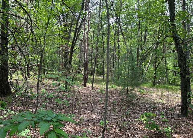 Property at 19784 Yankee Rd, Howard City, MI 49329