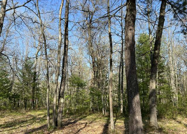Property at 11304 N Irons Road Rd, Irons, MI 49644