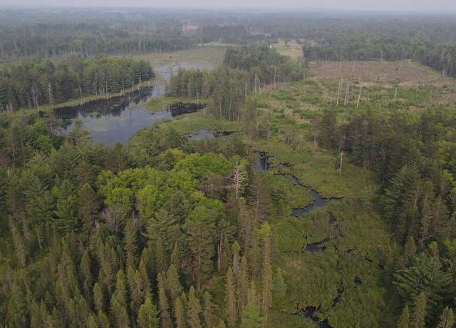 Property at Parcel B Cherry Creek Trl, Grayling, MI 49738