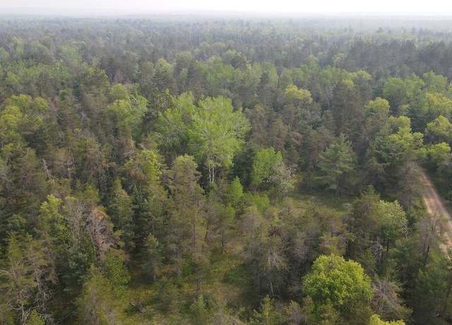 Property at Parcel C Cherry Creek Trl, Grayling, MI 49738