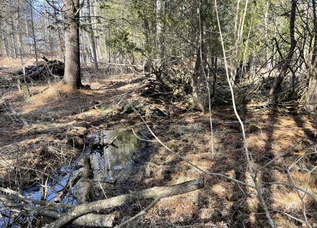 Property at V/L N Lakola, Leroy, MI 49655