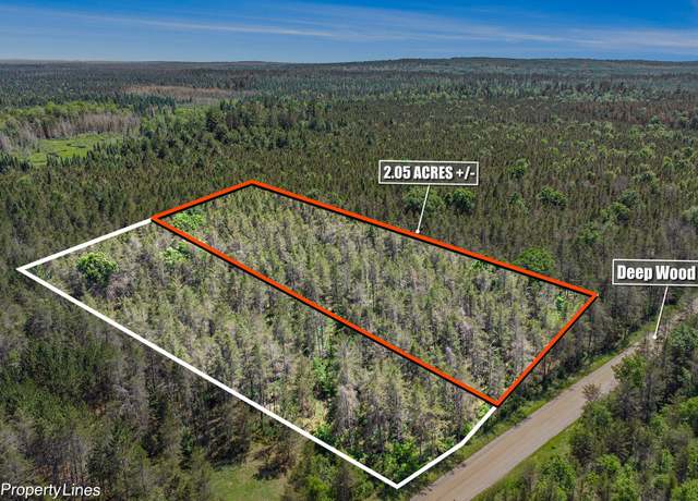 Property at V/L(2.05A) Deep Wood Rd, Roscommon, MI 48653