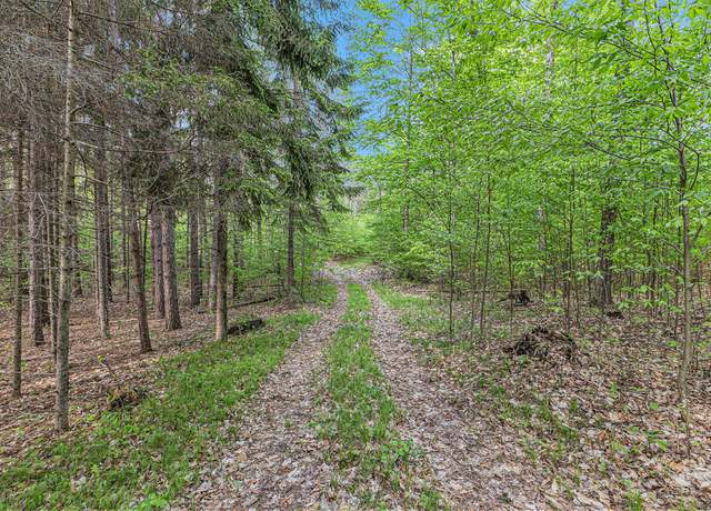 Property at V/L E 8 Mile Rd, Luther, MI 49656