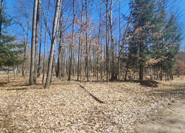 Property at 9791 Fawn Ridge Rd, Canadian Lakes, MI 49346