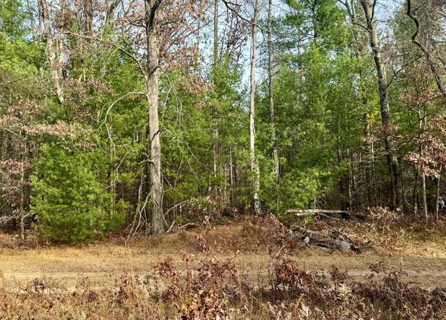 Property at 6034 S Jefferson, Baldwin, MI 49304