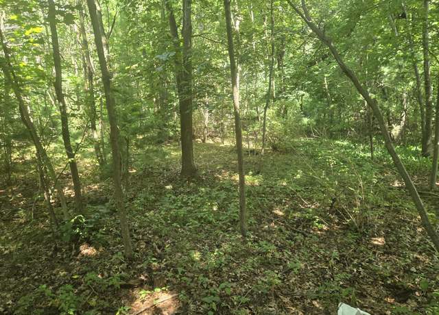 Property at VL Whitehall Rd, Whitehall, MI 49461