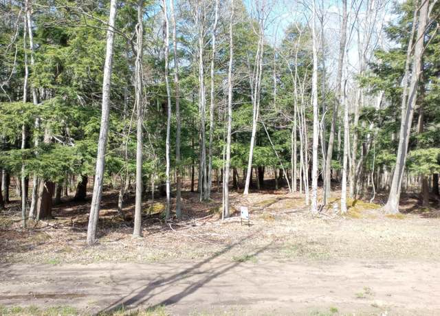 Property at V/L Range St, Mears, MI 49436