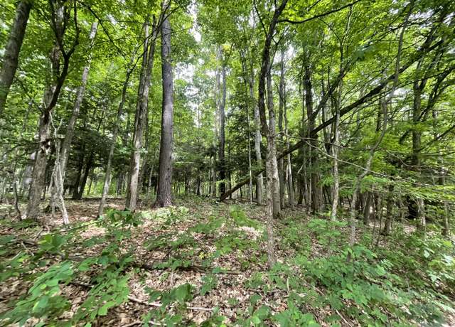 Property at 6288 E 22 1/2 Rd, Manton, MI 49663