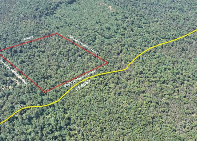 Property at V/L Stark Rd, Free Soil, MI 49411