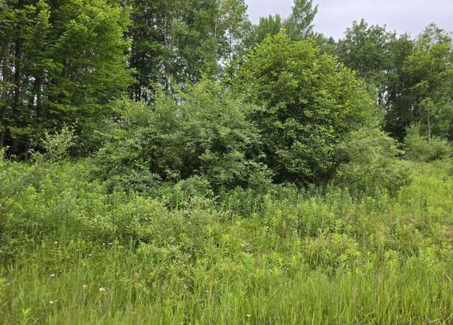 Property at 0 Lake Rd, Barryton, MI 49305