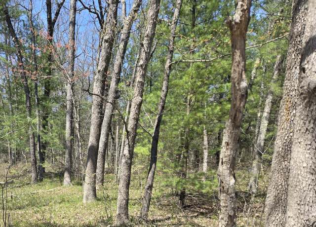Property at V/L W Coolidge St, Bitely, MI 49309
