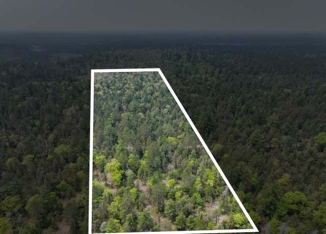 Property at V/L N Widewaters Rd, Paradise, MI 49768