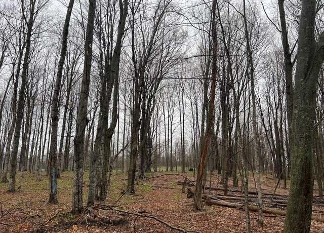 Property at NullA V/l Lake Ann Rd, Lake Ann, MI 49650