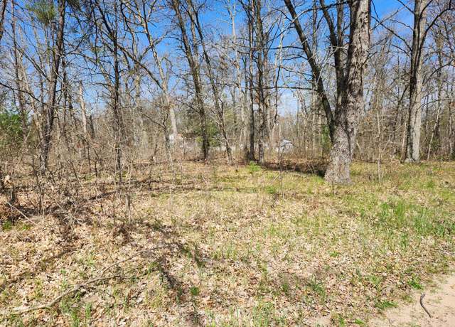Property at TBD S Princeton Way Ave, Baldwin, MI 49304