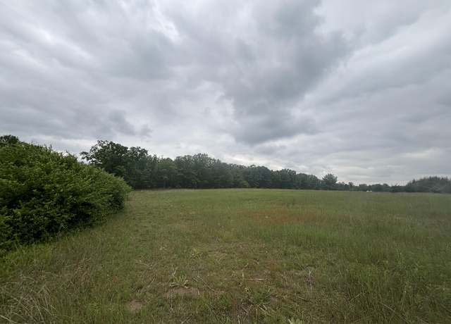 Property at V/L 10A N Woodbridge Rd, White Cloud, MI 49349