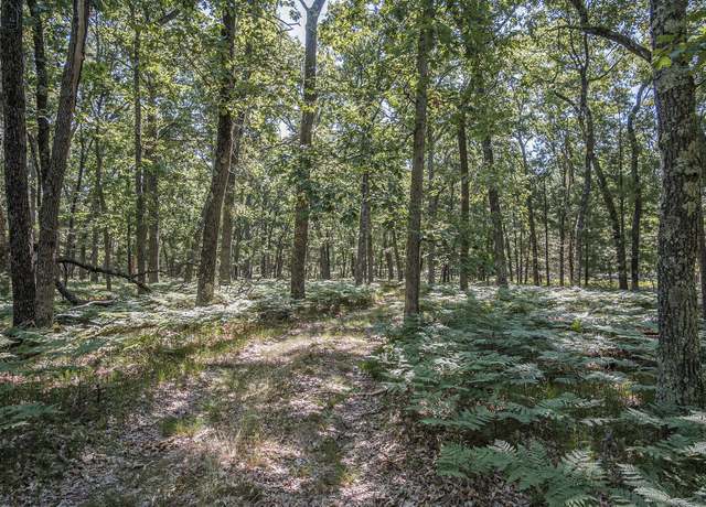 Property at V/l S Star Lake Rd, Baldwin, MI 49304