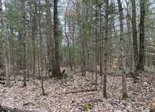 Property at Cherry Ln, Free Soil, MI 49411