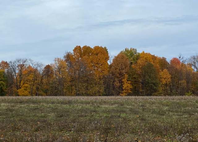 Property at 8699 S 29th St, Scotts, MI 49088