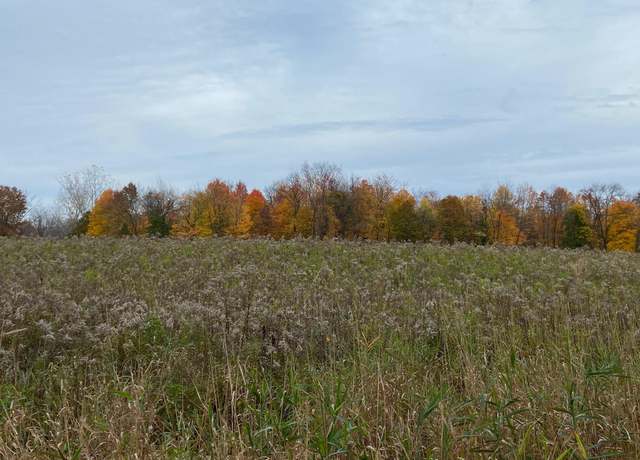 Property at 8689 S 29th St, Scotts, MI 49088