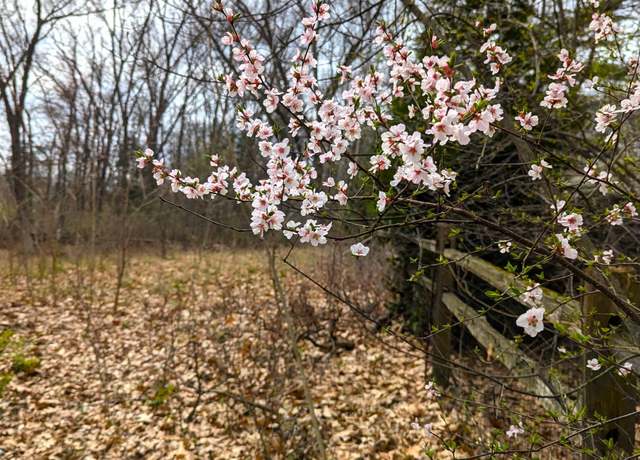 Property at 0 Burkhart Rd, Jackson, MI 49201