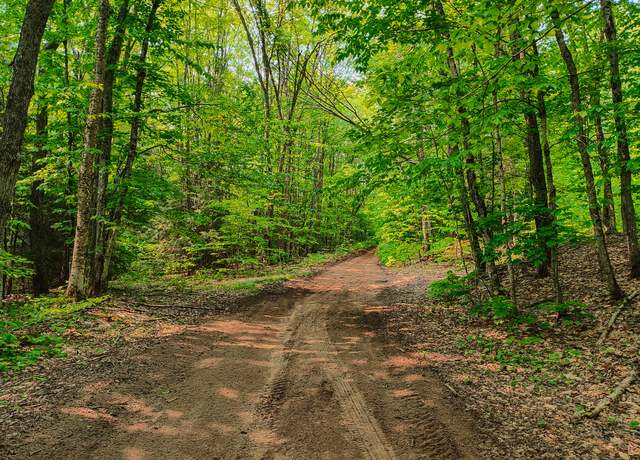 Property at V/L Tower Rd, Mcmillan, MI 49853