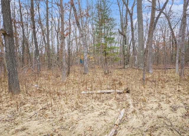Property at V/L N Woodbridge Rd, Bitely, MI 49309