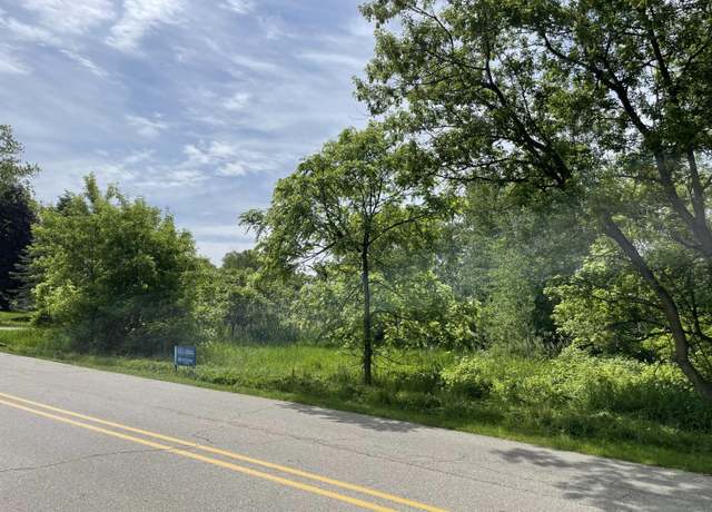 Property at VL Ray And Elm St, New Era, MI 49446