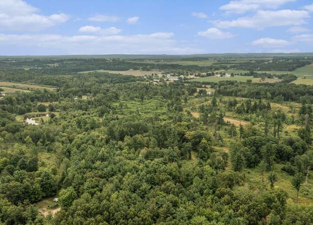 Property at 30 Acres Eagle Rd, Hart, MI 49420